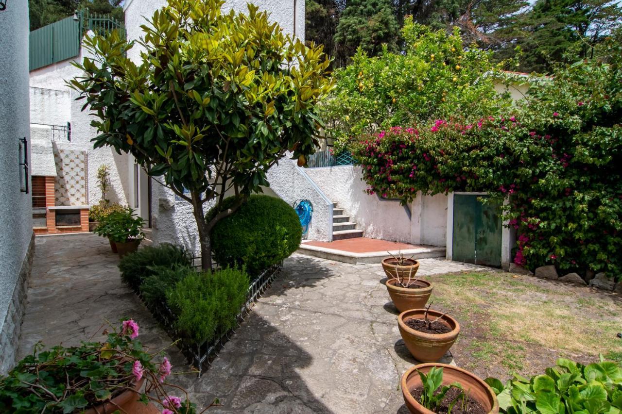 Vivenda Santiago Villa Sesimbra Kültér fotó